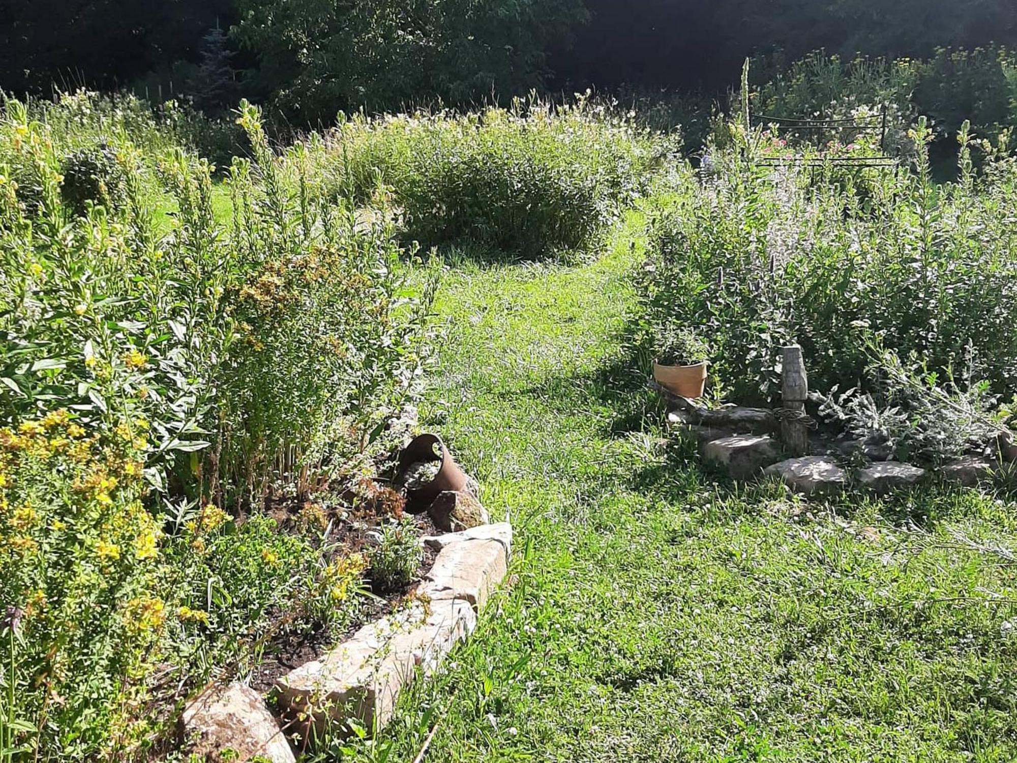 Im Vital Art Naturgarten Zweibrücken Extérieur photo